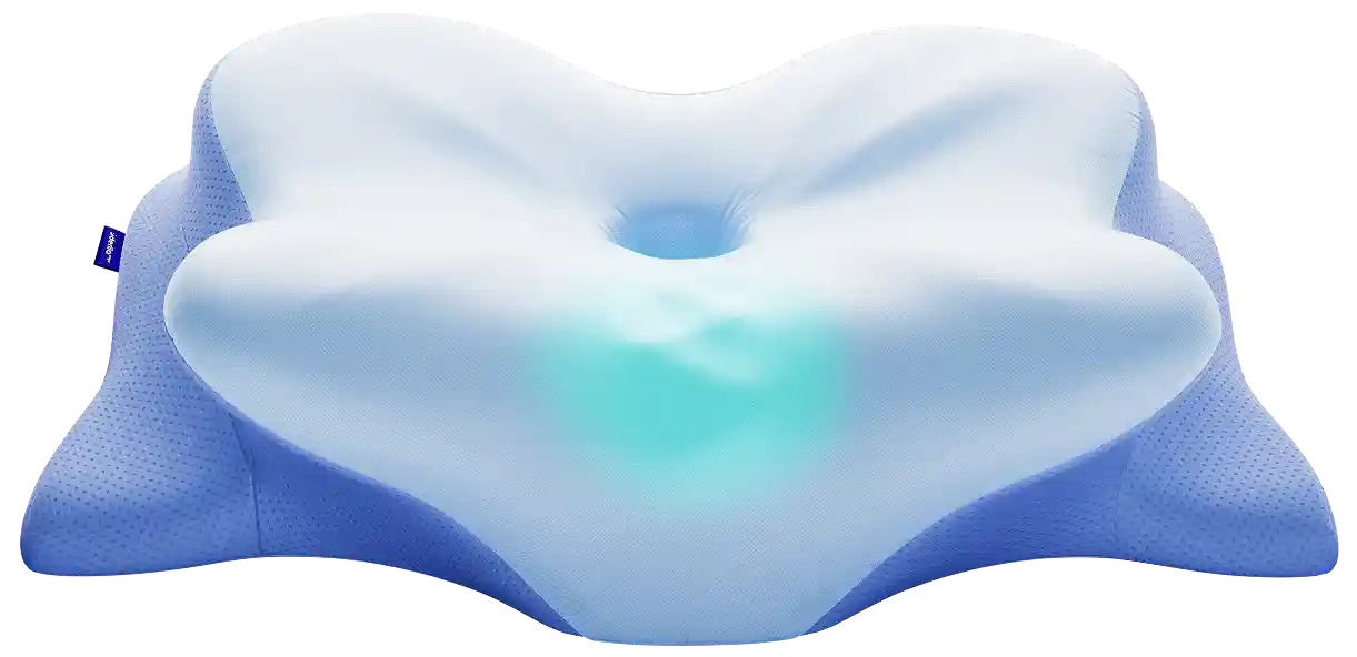 Derila Ergo Pillow Buy Online USA — Butterfly Memory Foam Official 2026